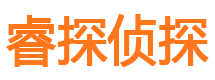 合阳外遇出轨调查取证